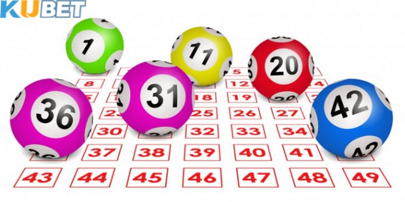 Nên chọn số lượng lô và thời gian nuôi hợp lý để tránh tốn kém