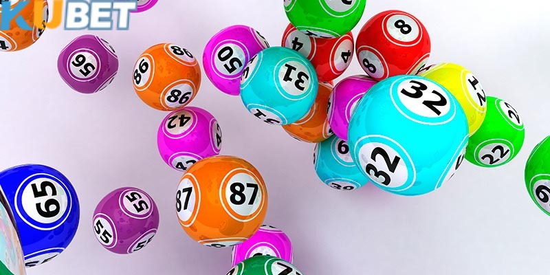 Nên nuôi số lượng lô gan vừa phải cân đối hợp lý với nguồn vốn